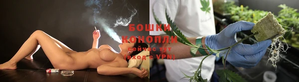 сатива Алапаевск