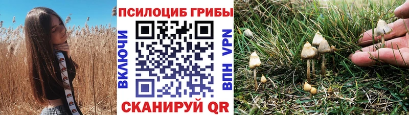Псилоцибиновые грибы мицелий  Новое Девяткино 